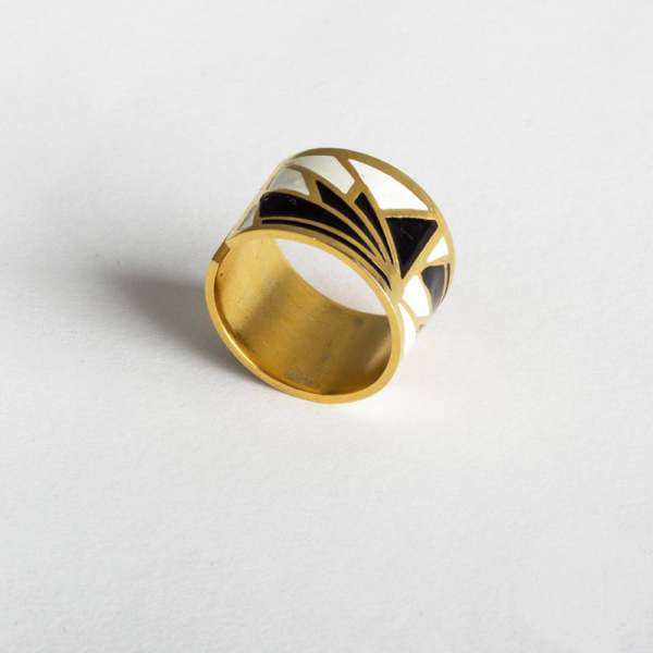 Fan Ring