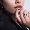 Fan Ring